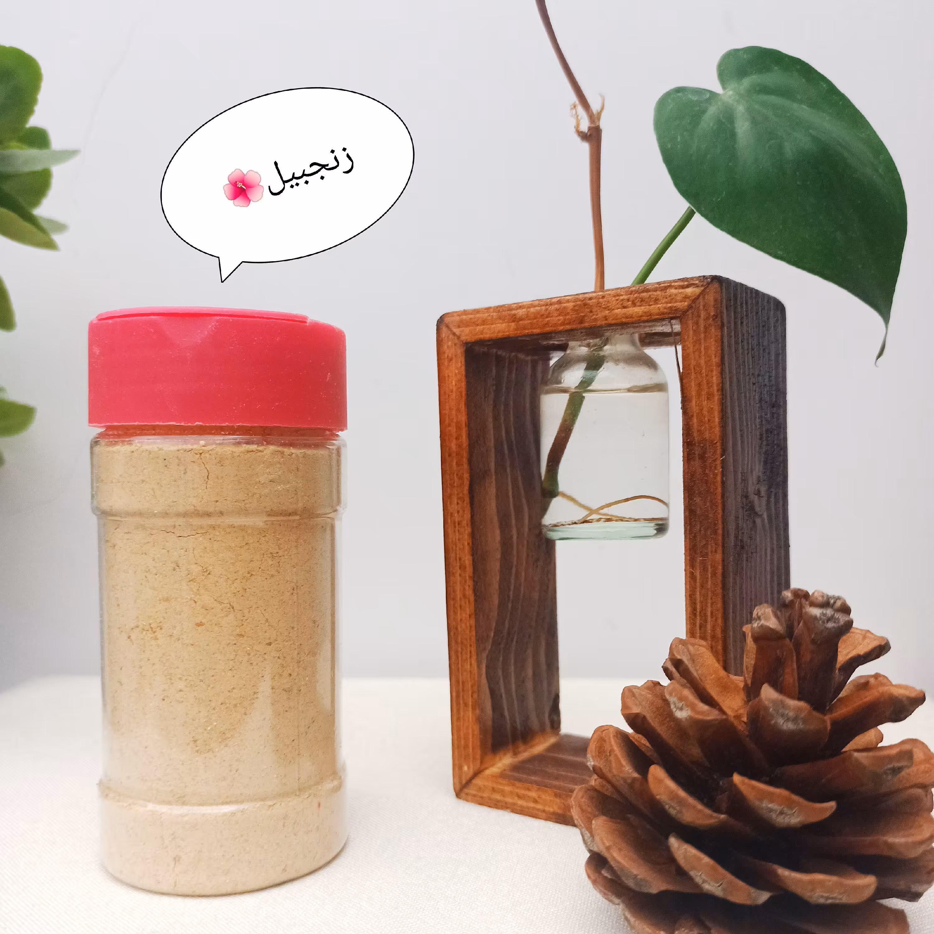 زنجبیل اعلا100گرمی 