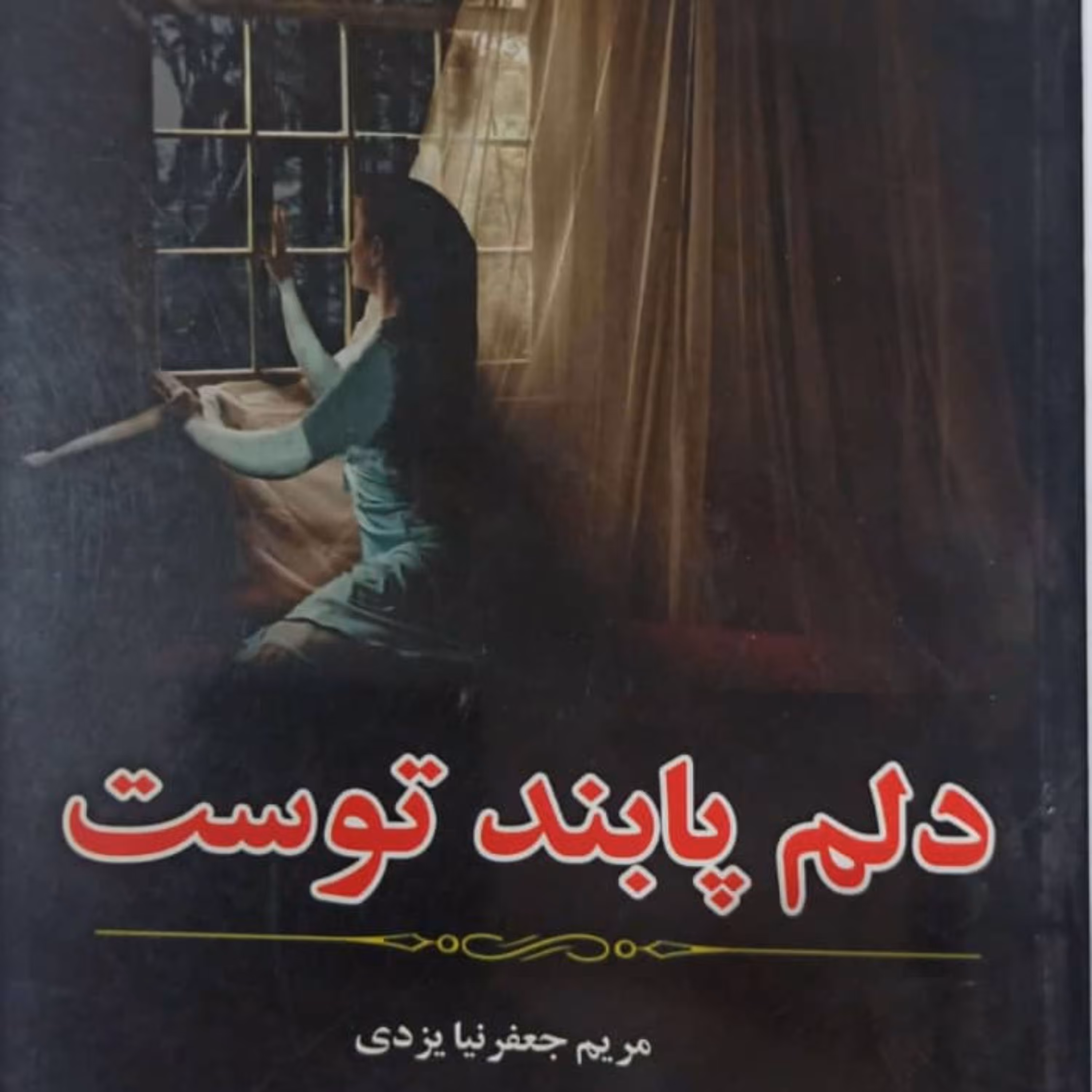 کتاب دلم پابند توست نشر آپامهر