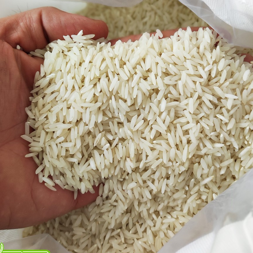 برنج طارم شیرودی ، بوجاری و سورت شده کامل، یکدست، خوش پخت