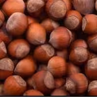 فندق  برشته