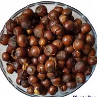 فندق بوداده کم نمک