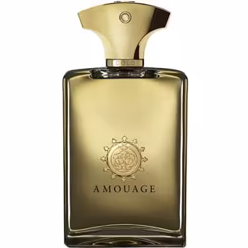 ادو پرفیوم مردانه AMOUAGE Gold حجم 100 میلی لیتر