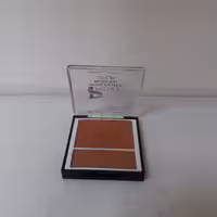 رژگونه هایلایتر دار پلادیس شماره 106