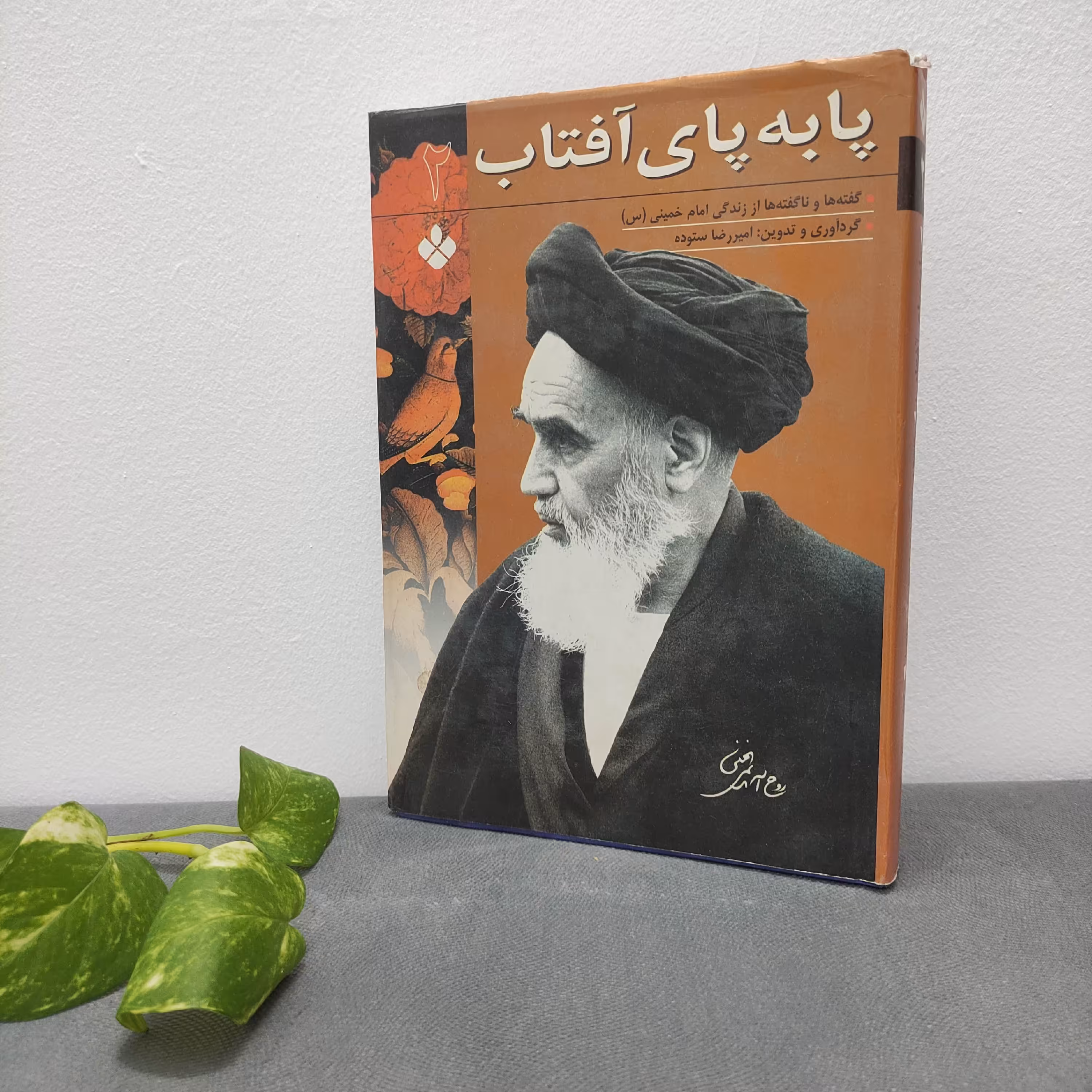 کتاب پا به پای آفتاب جلد دوم جلد سخت