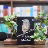 کتاب فواره گنجشک ها زندگی داستانی امام جعفر صادق انتشارات کتاب جمکران 