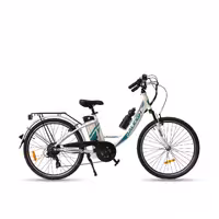 دوچرخه برقی Raleigh 350