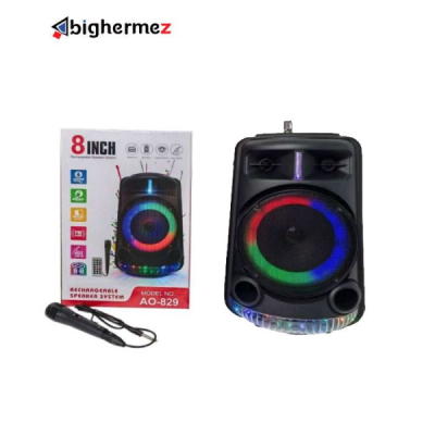 اسپیکر بلوتوث قابل حمل پی نت مدل AO-829
