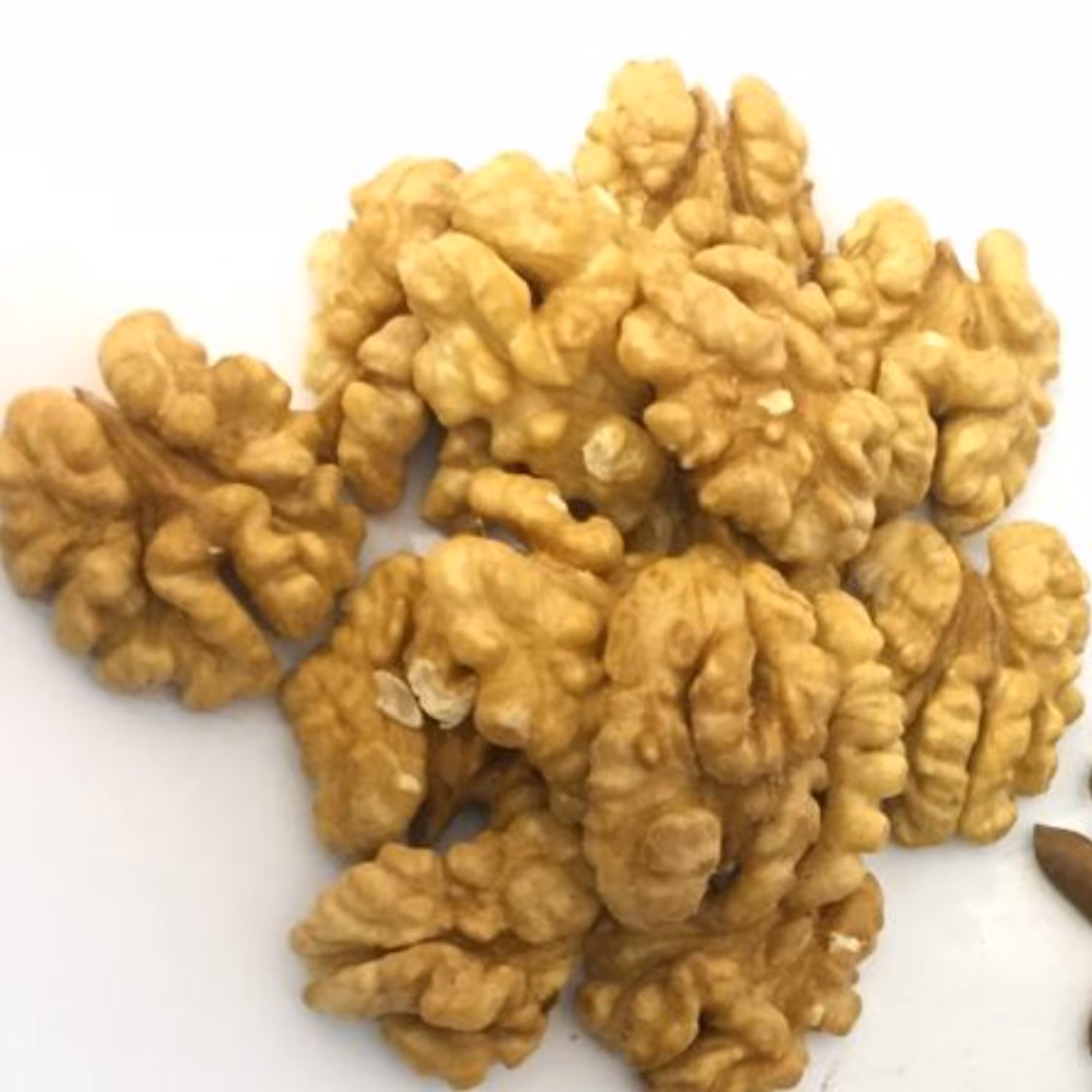 مغز گردو سفید درجه یک کیلویی ایرانی و چرب 