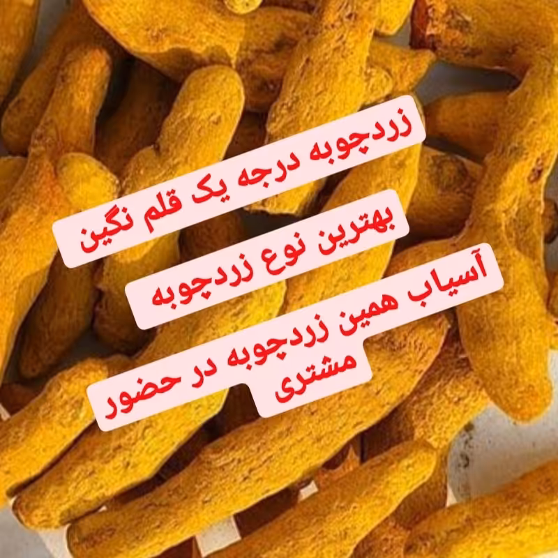 پودر زردچوبه تازه آسیاب نیم کیلویی