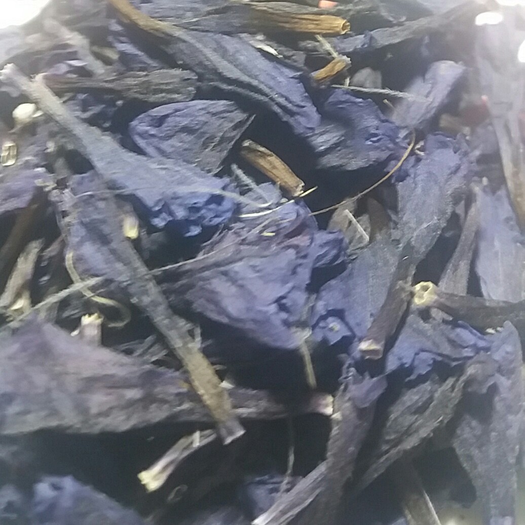 گل گاوزبان