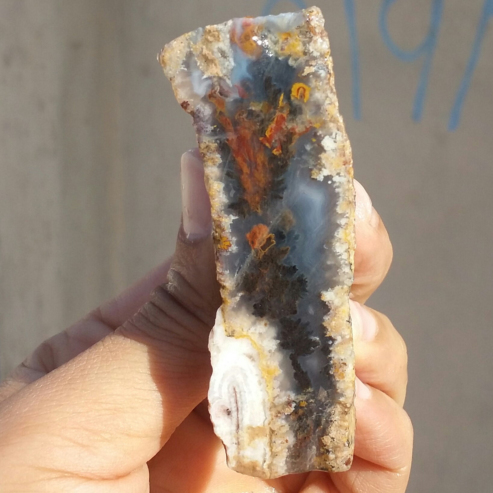 اسلایس سنگ راف عقیق شجر  شکوفه دریایی 7رنگ شجر واضح
 100 در 100 طبیعی شاهکار خلقت
با قابلیت ساخت چند نگین قیمتی
کد10822