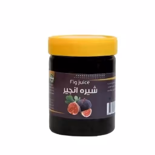 شیره انجیر ممتاز فدک شعبه5 (500گرم)