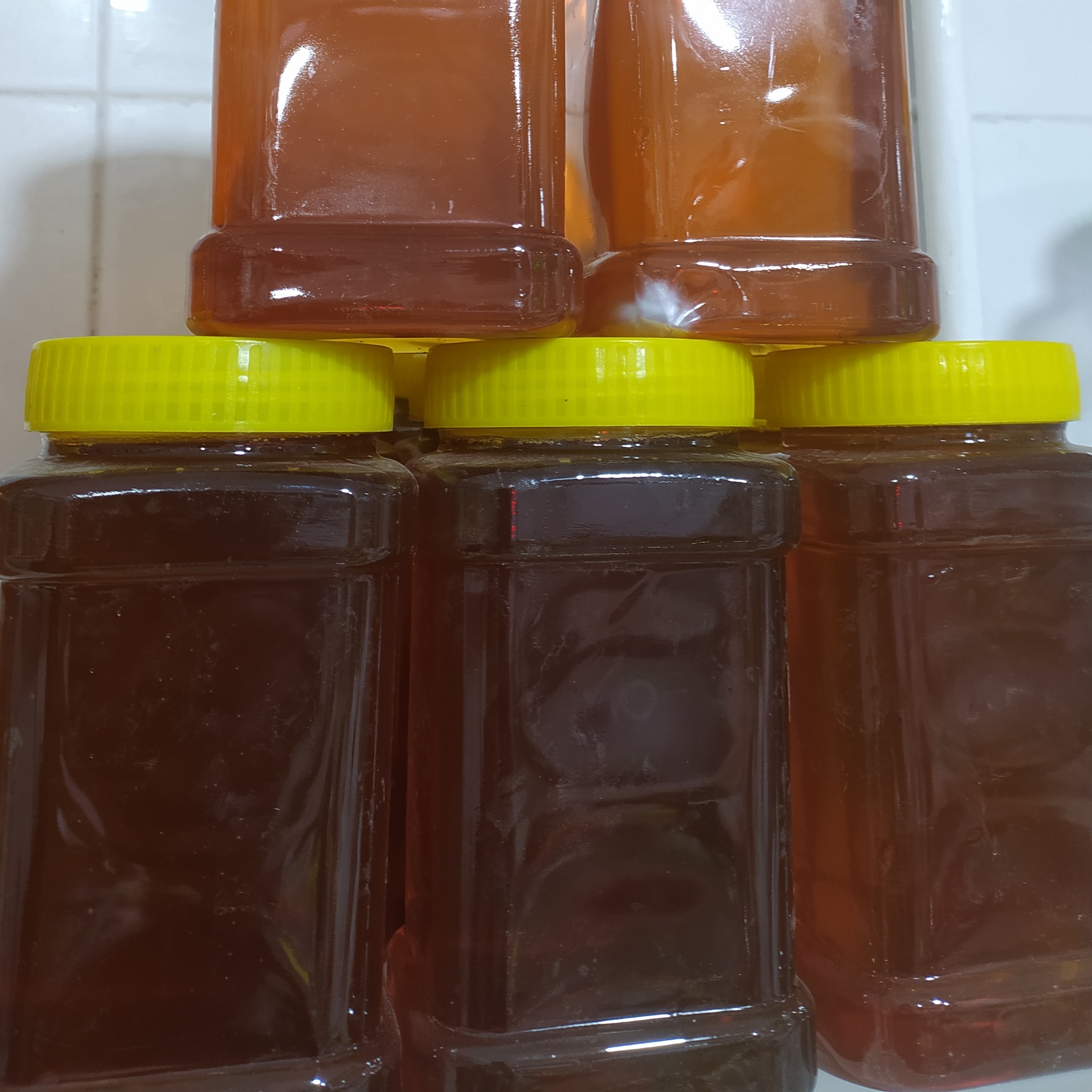 عسل شوید بهاره