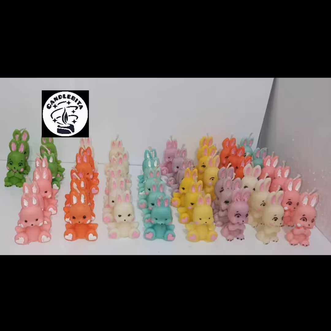 خرگوش نماد سال 