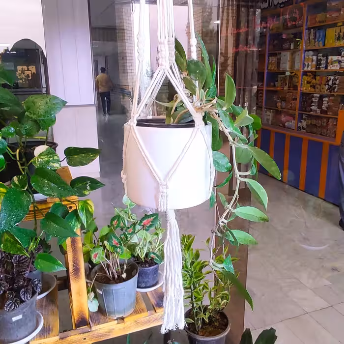 آویز گلدان مکرومه بافی