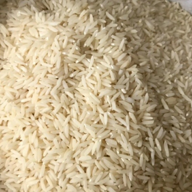 برنج طارم هاشمی گیلان کیلویی 117 هزار تومن