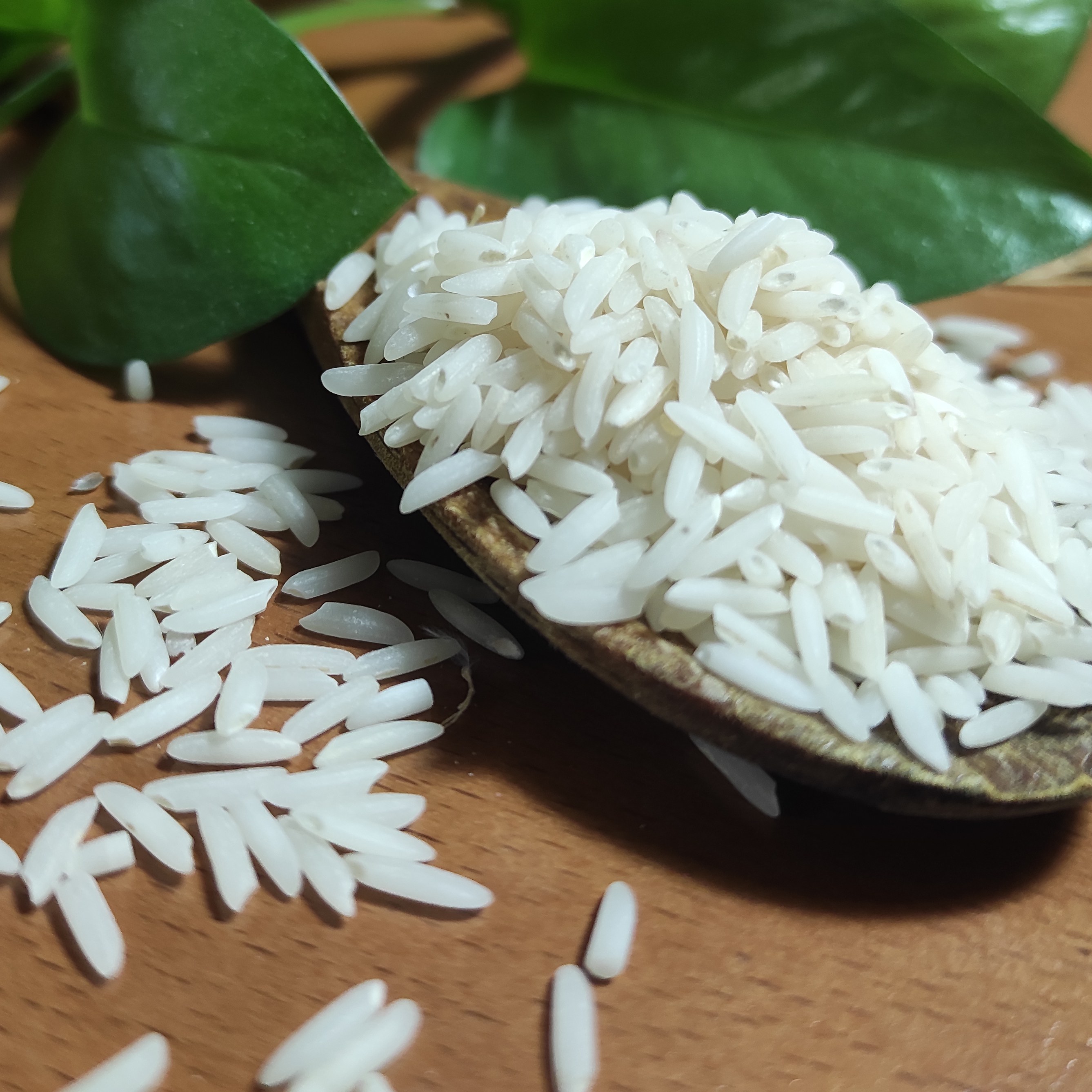 برنج درست دونه هاشمی معطرو خوش پخت اعلا لاهیجان 10 کیلویی (با ارسال رایگان)
