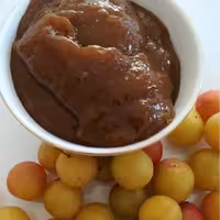 رب آلوچه تررررش 