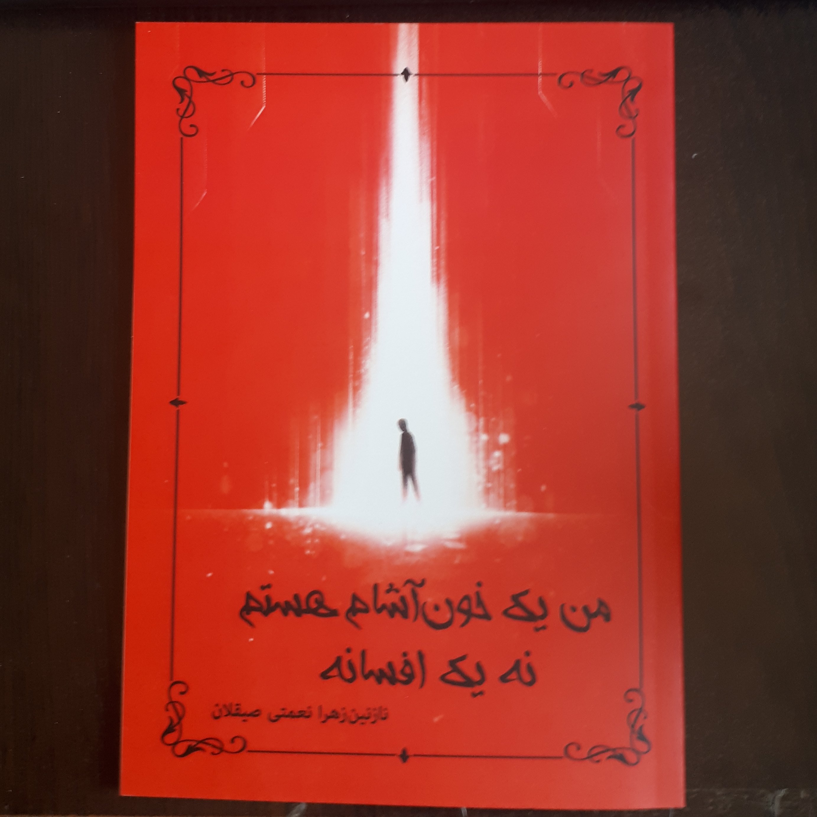 کتاب من یک خون آشام هستم نه یک افسانه (داستان کوتاه)