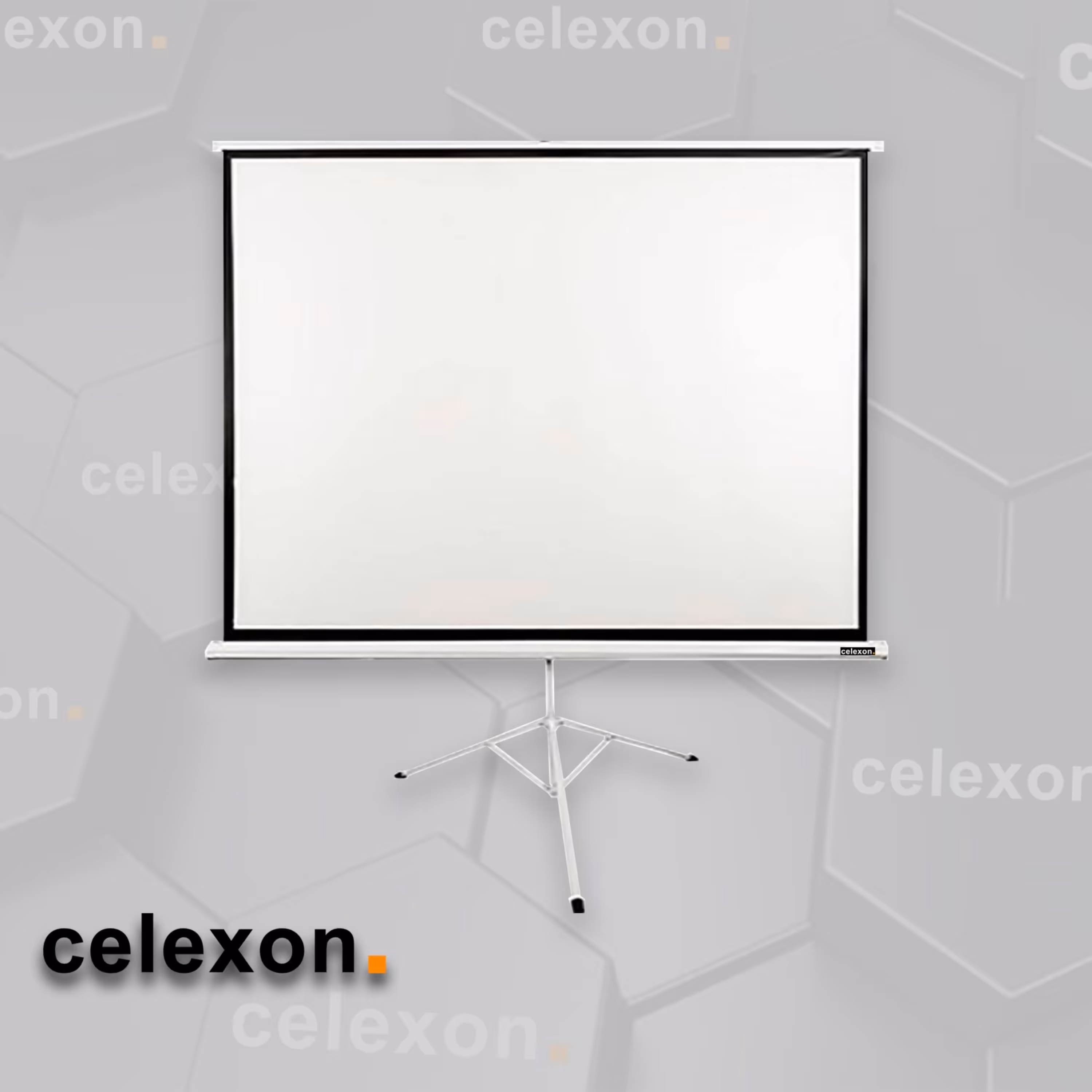 پرده نمایش پایه دار سلکسون مدل CST200