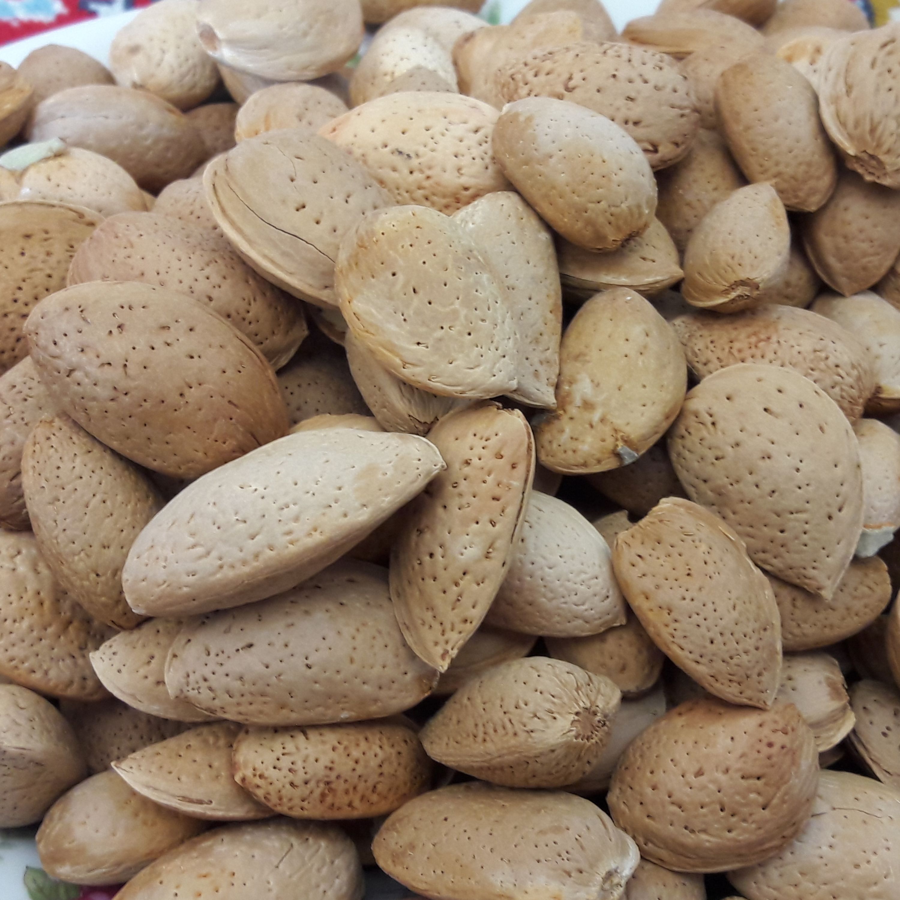 بادام درجه 1 صادراتی (1کیلو گرم)
