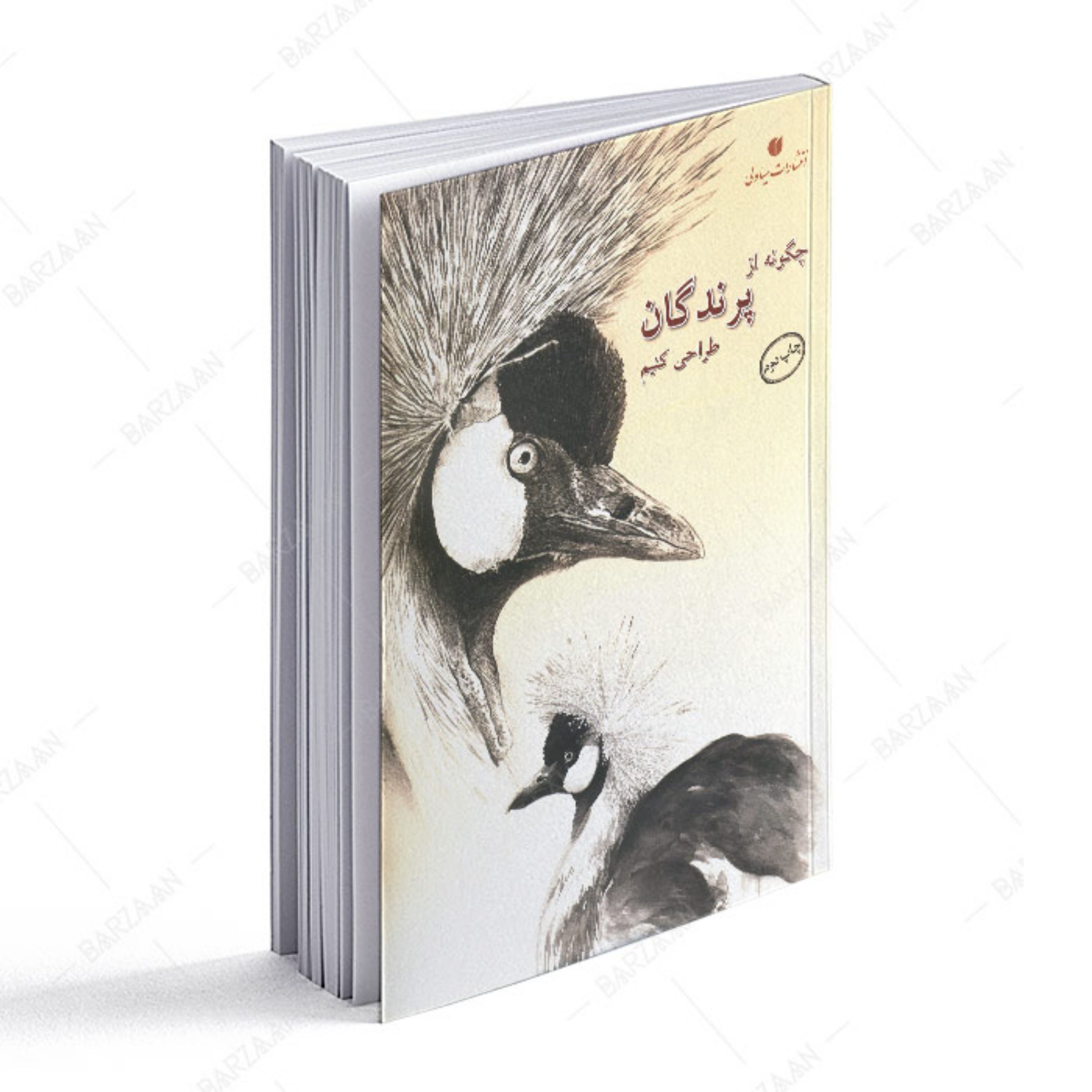 کتاب چگونه از پرندگان طراحی کنیم