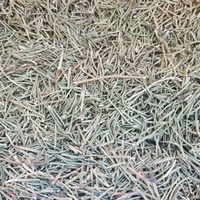 برگ رزماری اعلا (5کیلویی)