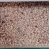 لوبیا چیتی بوجار اعلا (یک کیلویی)