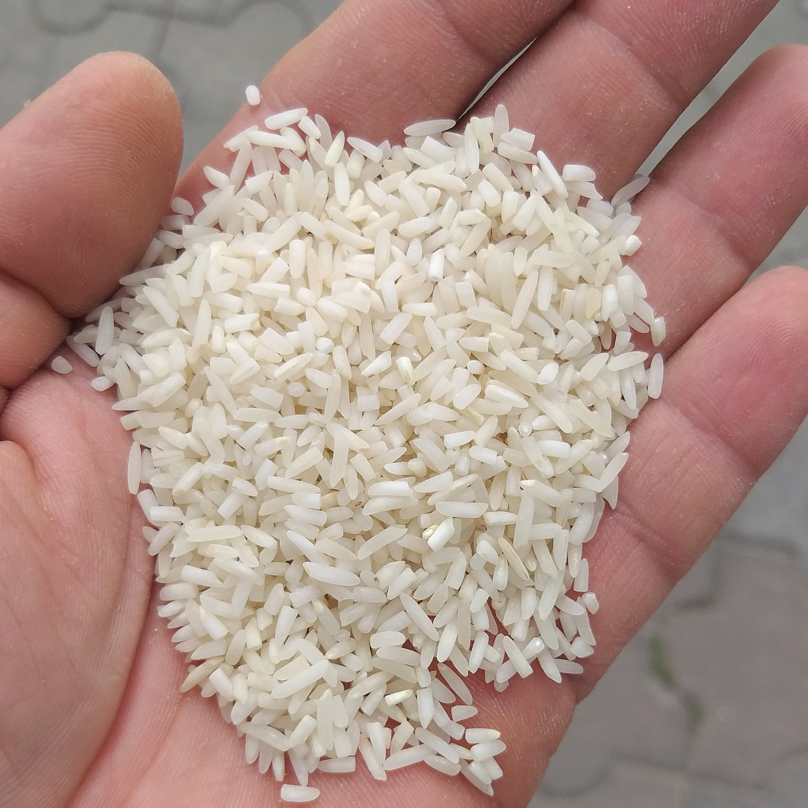 برنج لاشه درشت فجر 