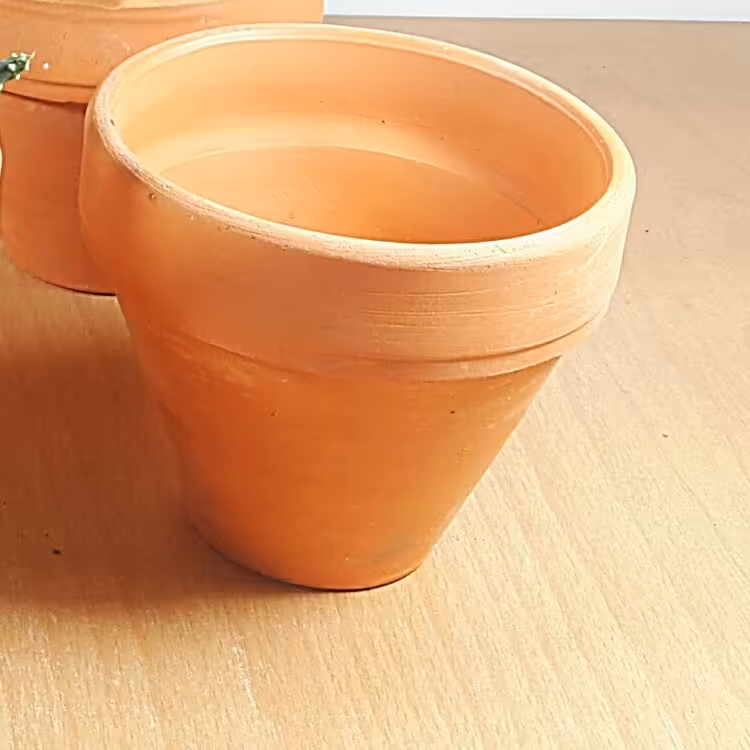 پک 4 عددی گلدان سایز 8 طرح جدید