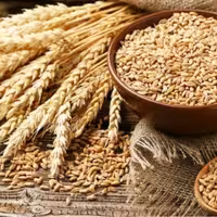 گندم پوست کنده (900گرم)عطاربانو 