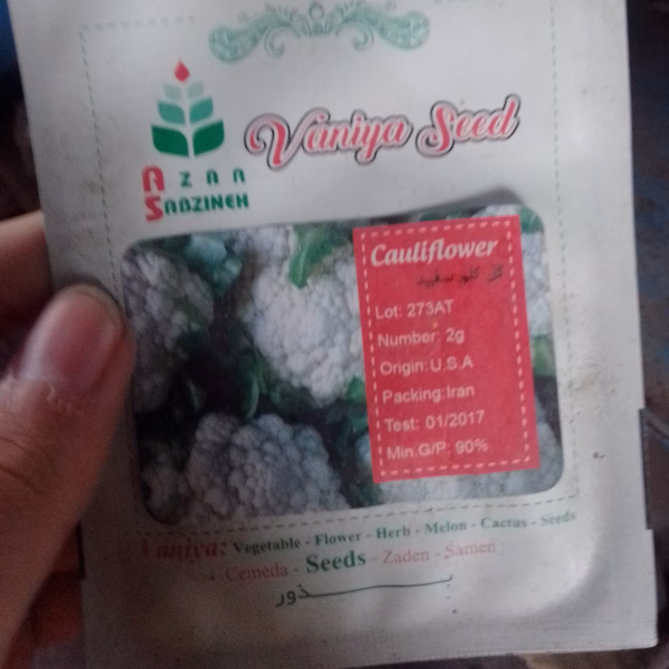 بذر گل کلم سفید
