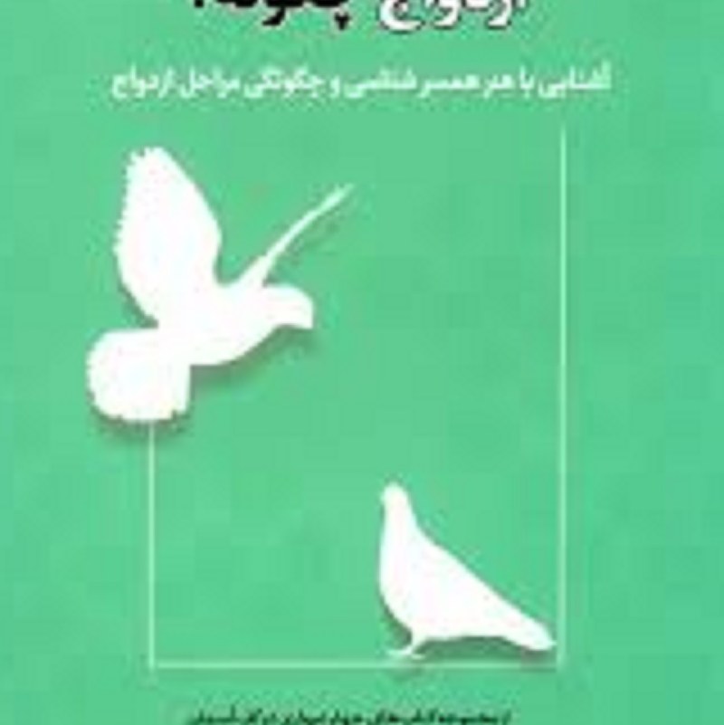 کتاب ازدواج چگونه ( آشنایی باهنر همسرشناسی وچگونگی مراحل ازدواج)
