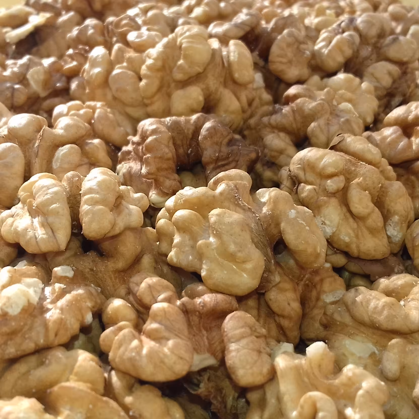 مغز گردوی درجه یک ارومیه امسال تازه و پرچرب