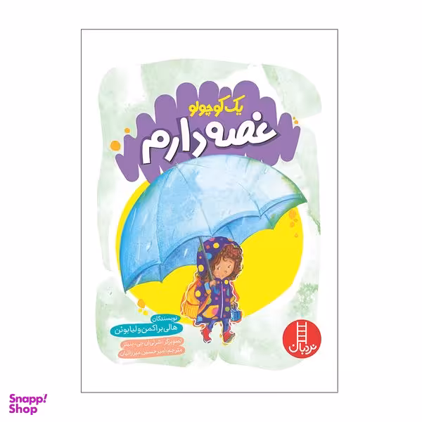 کتاب یک کوچولو غصه دارم اثر هالی براکمن و لیابوئن انتشارات فنی ایران