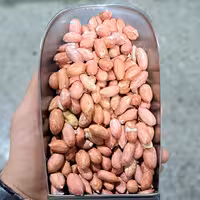 بادام زمینی آستانه 