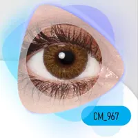 لنز رنگی و طبی رنگی عسلی دور دار مارک کلیرویژن کره جنوبی.