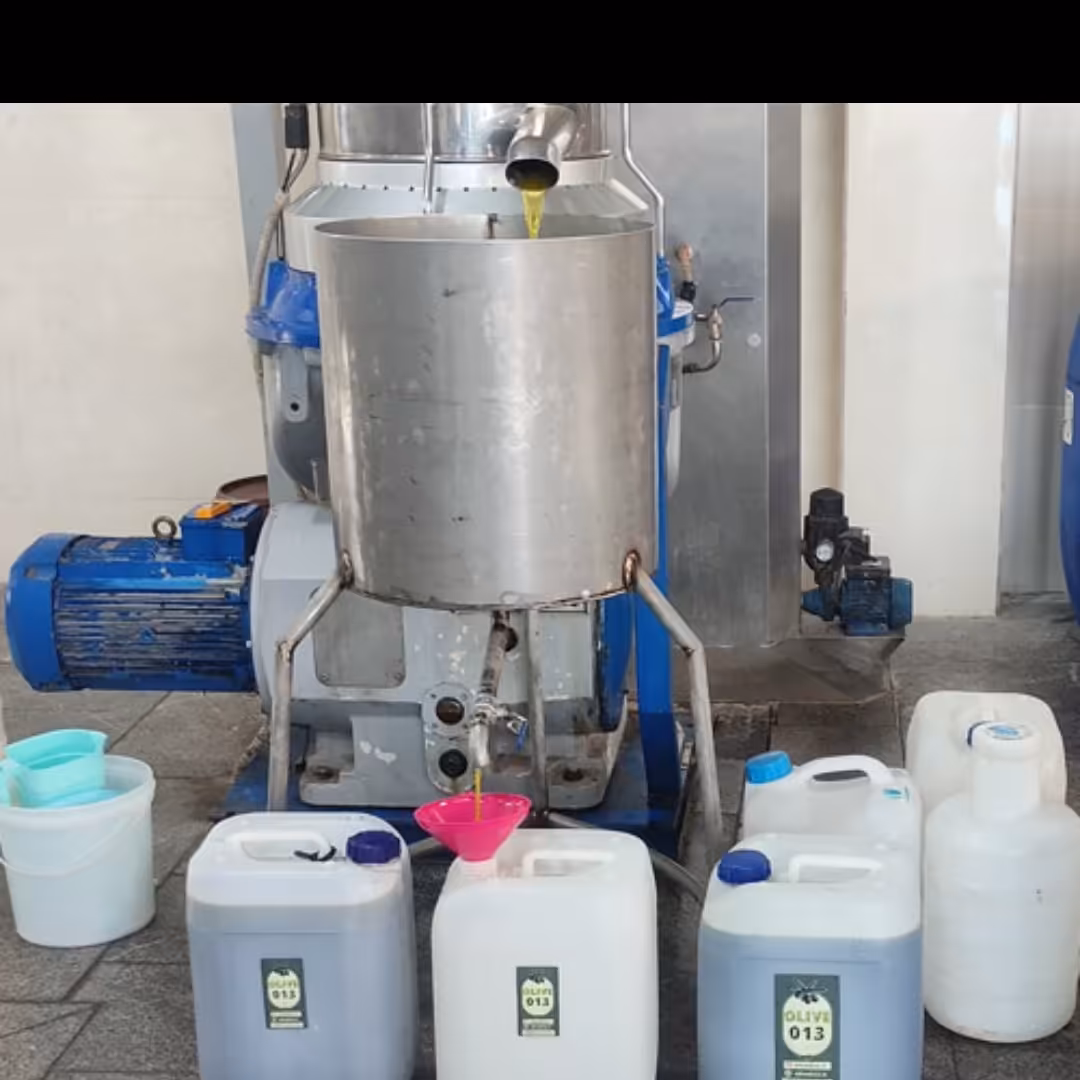 روغن زیتون بدون بو طارم اعلا (22 لیتری) با کیفیت عالی و تضمینی به قیمت پخش عمده از باغات سرسبز طارم