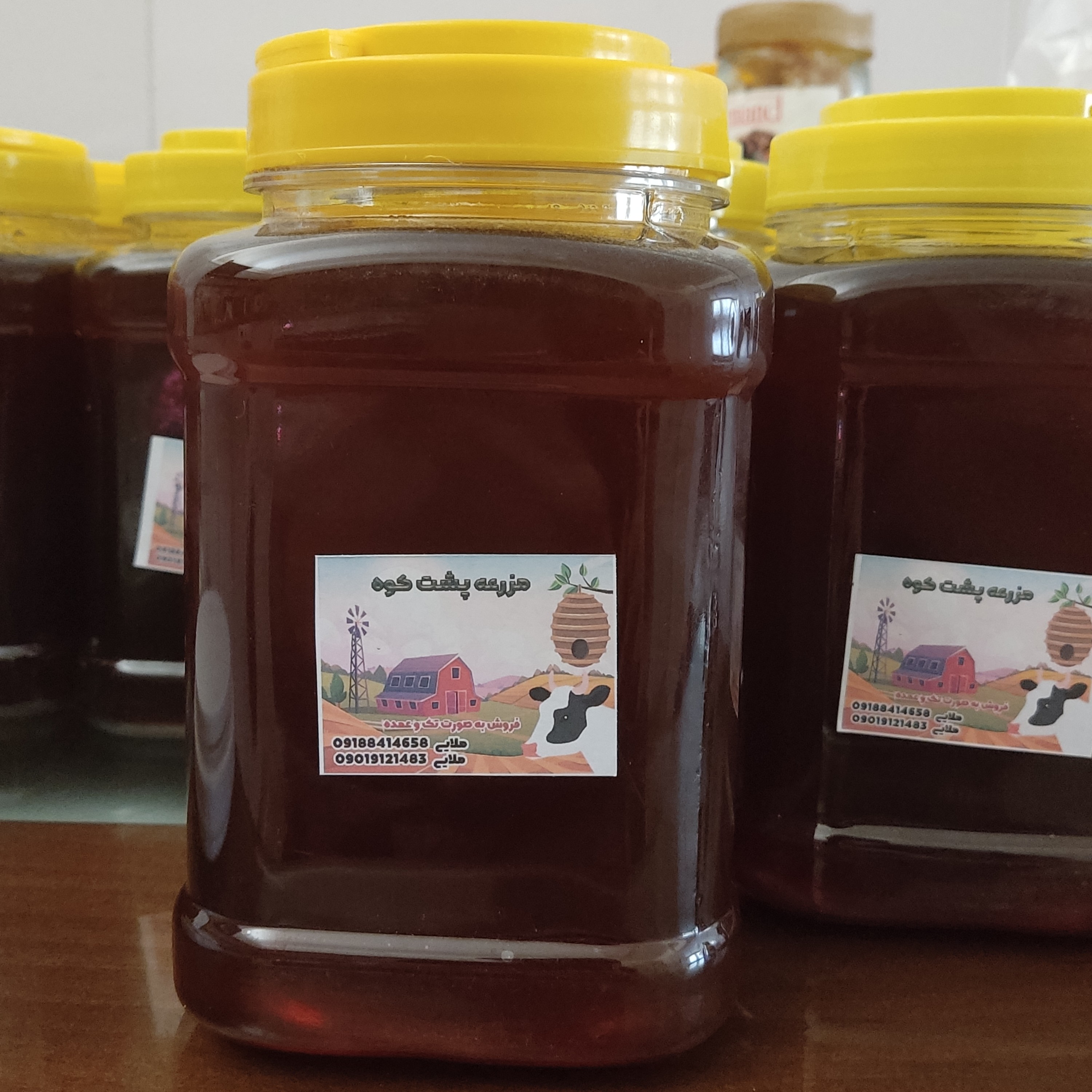 عسل صد درصد طبیعی دو کیلویی بالاترین کیفیت و بالاترین غلظت مزه ای فوق العاده در مناطق کوهستانی ایلام