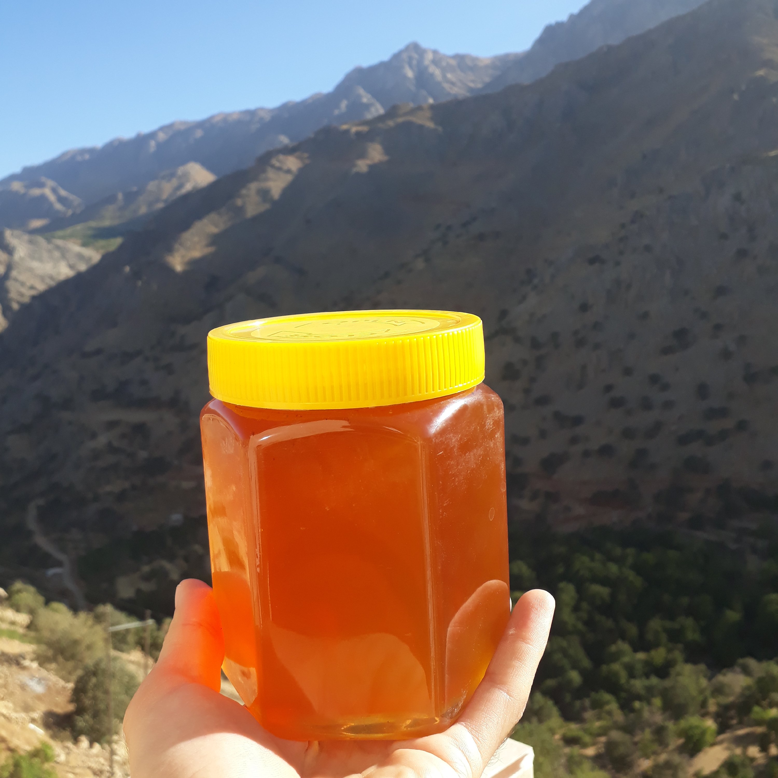 عسل طبیعی و اُرگانیک هورامان تخت