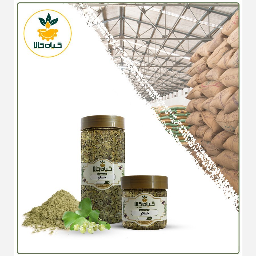 برگ جینکو با کیفیت عالی، بار امسالی و تازه(500گرمی )