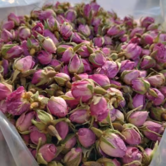 غنچه گل محمدی درجه 1( لوکس)