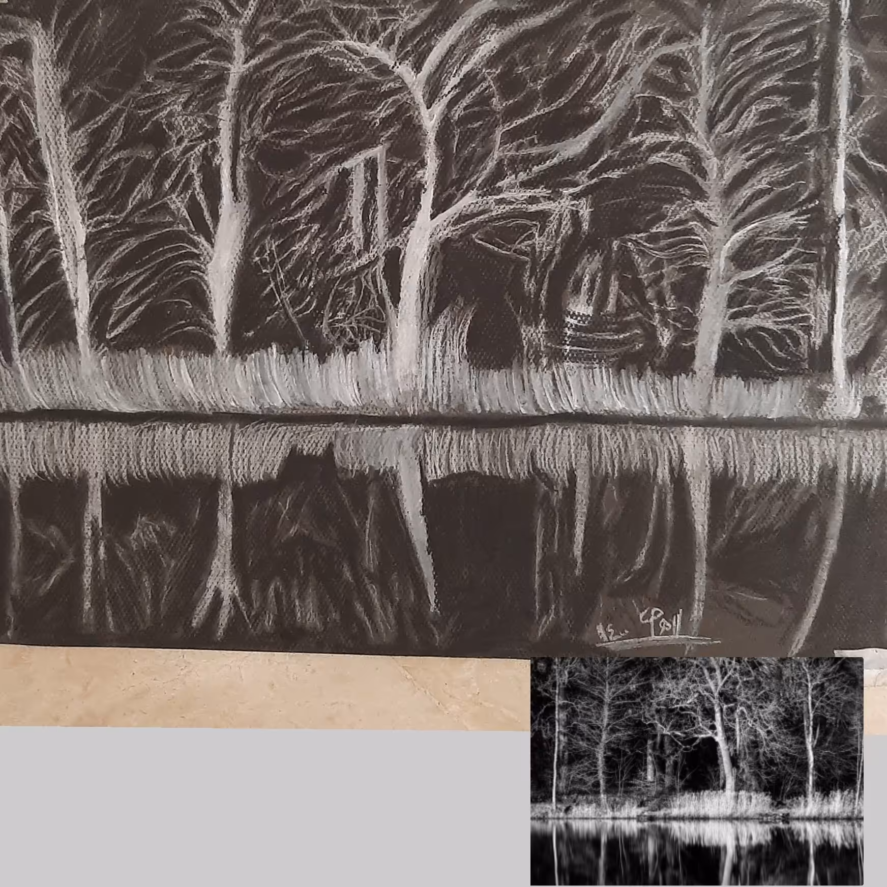 طراحی سیاه قلم طبیعت