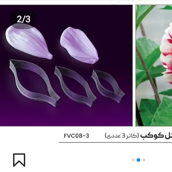 وینر وکاتر گل کوکب (3عددی)