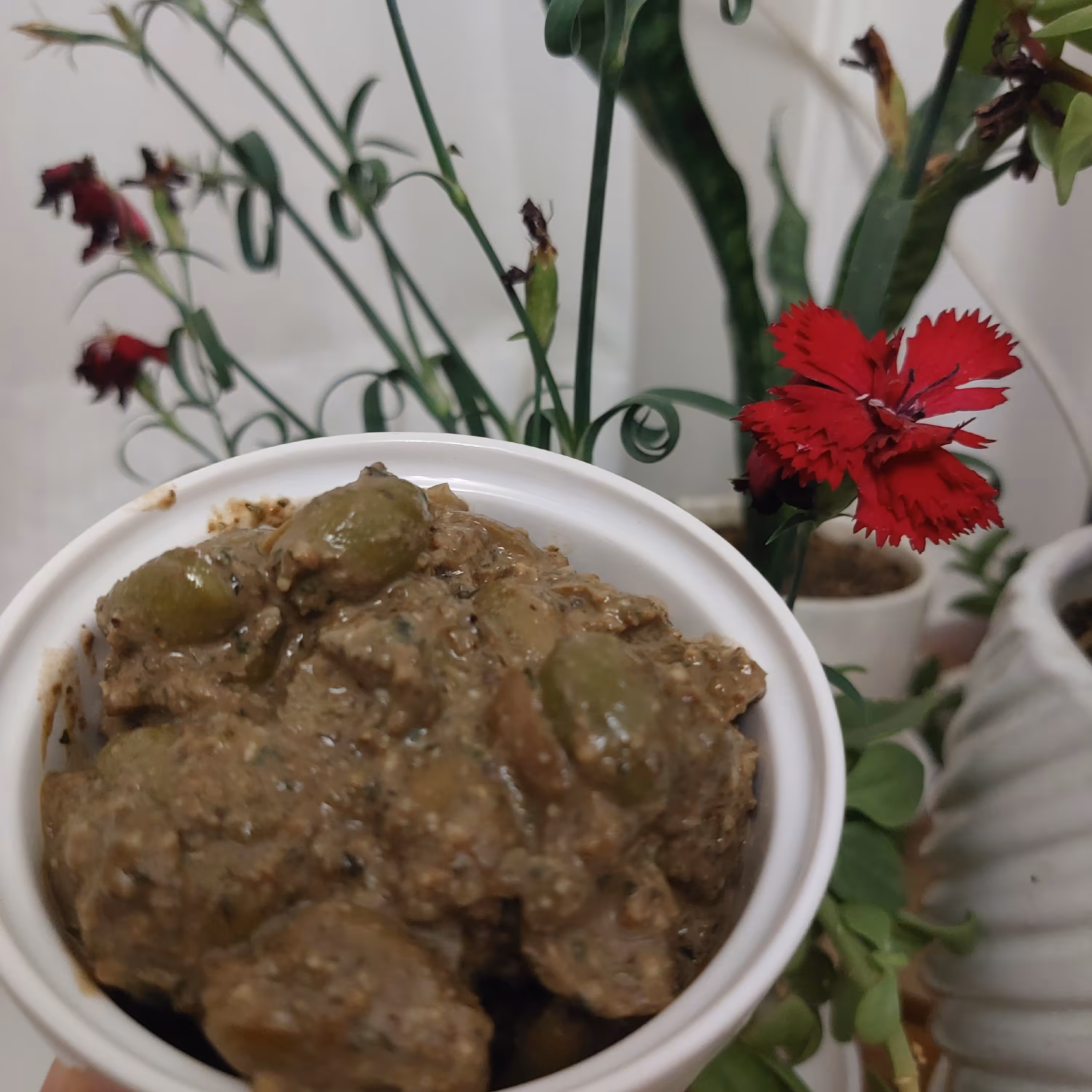 زیتون پرورده سنتی و خانگی یک کیلوگرمی (پس کرایه)