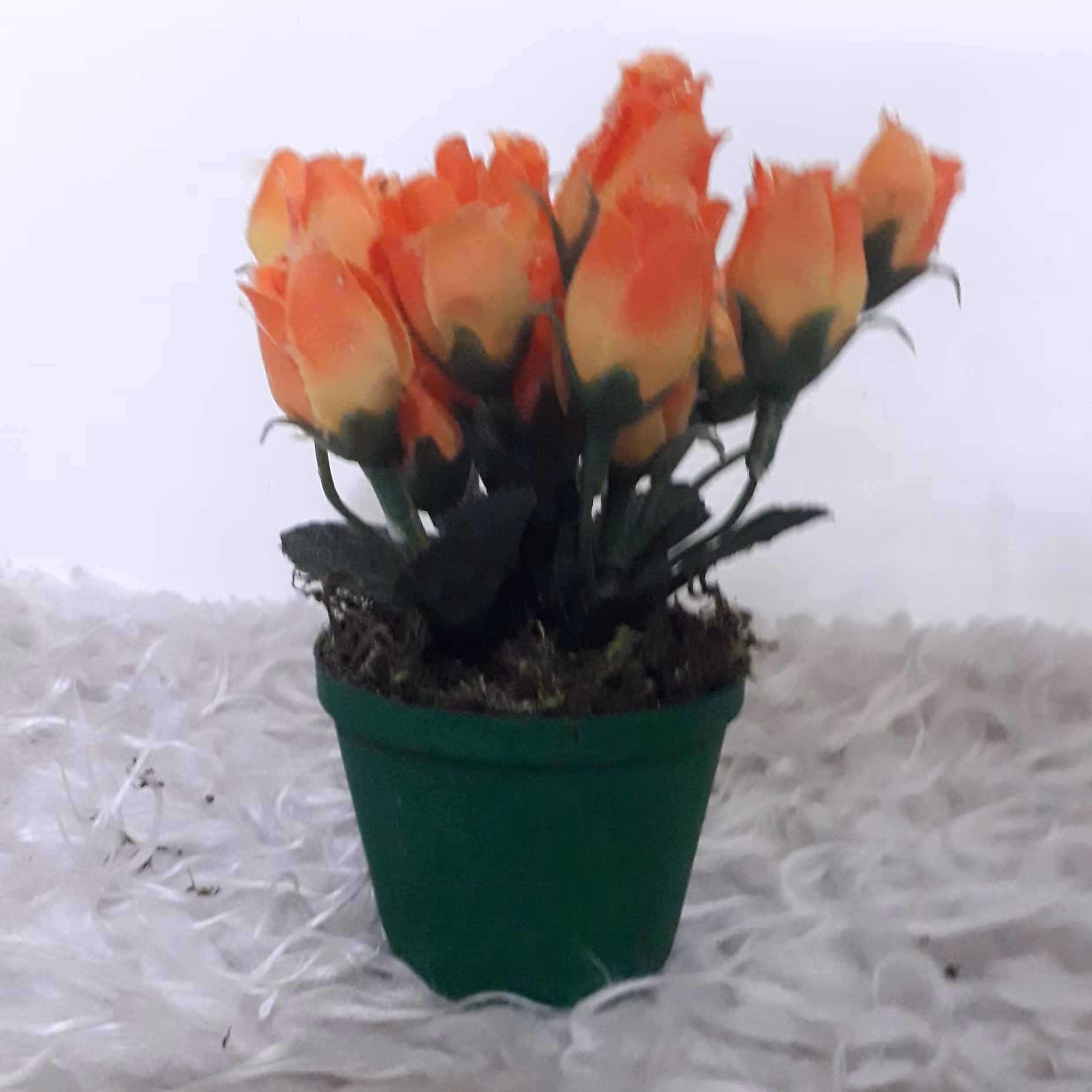 پک دو عددی گلدان با شکوفه