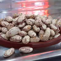 لوبیا چیتی درجه 1 دانه درشت زود پز