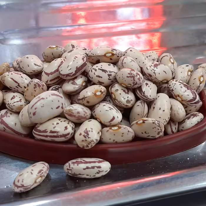 لوبیا چیتی درجه 1 دانه درشت زود پز