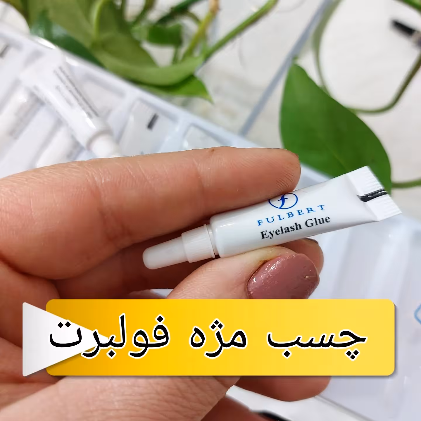چسب مژه فولبرت