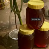 عسل شقایق کوهی(عسل فروشی مادر )